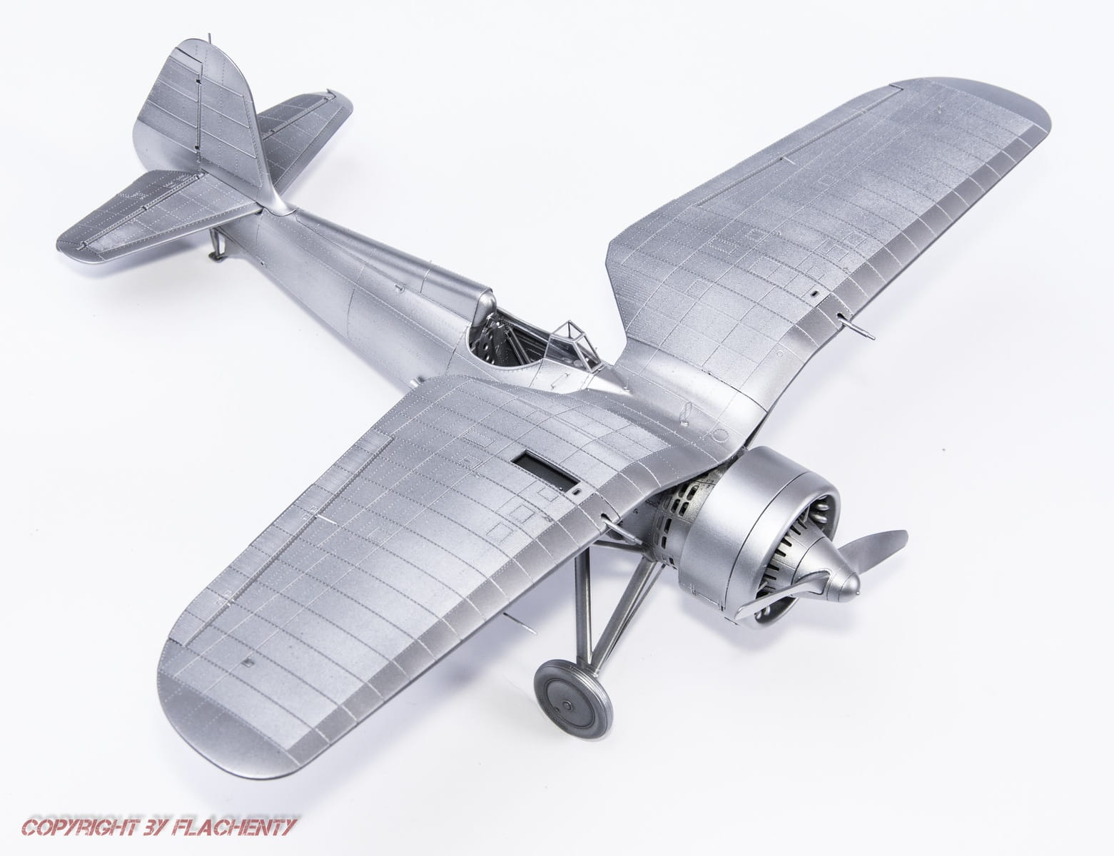 -image_IBG Models_32002_4