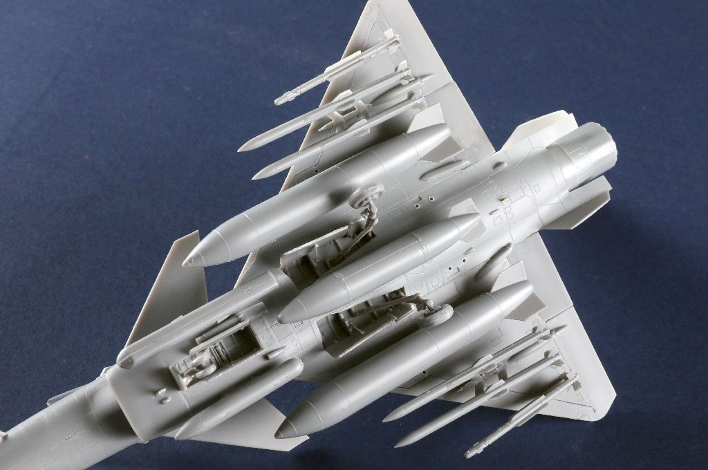 -image_Trumpeter_01698_14