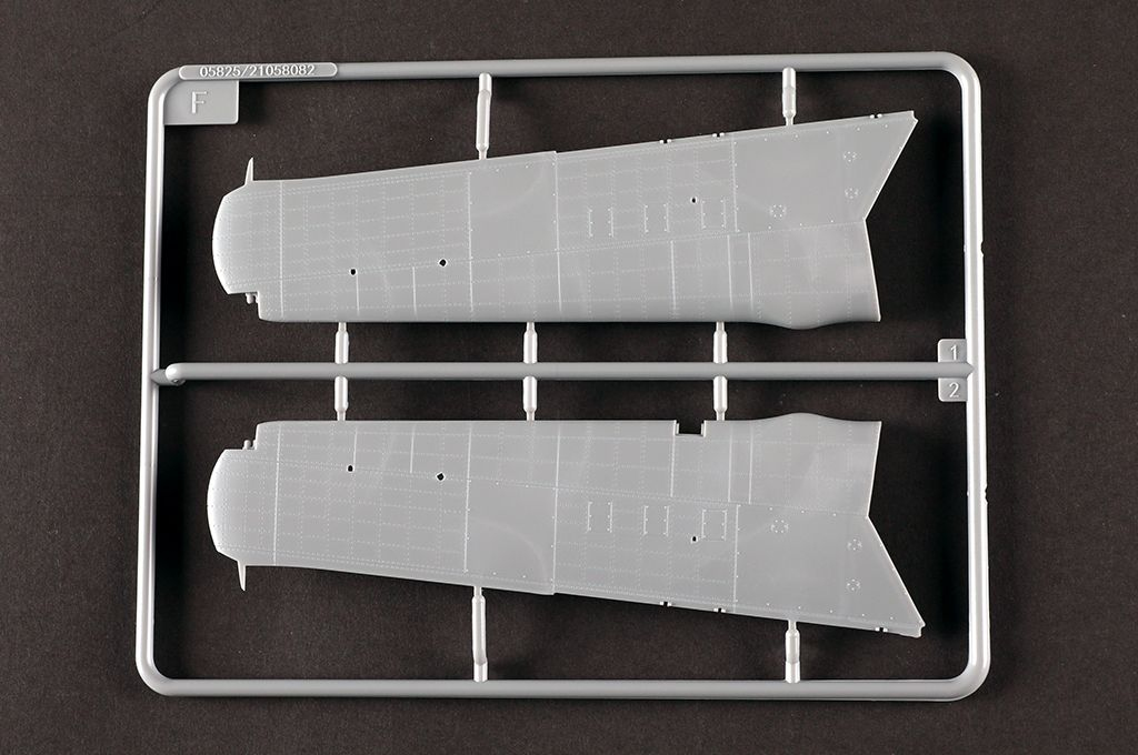 -image_Trumpeter_05825_14