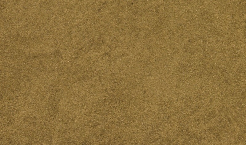 -image_Woodland Scenics_FS629_2