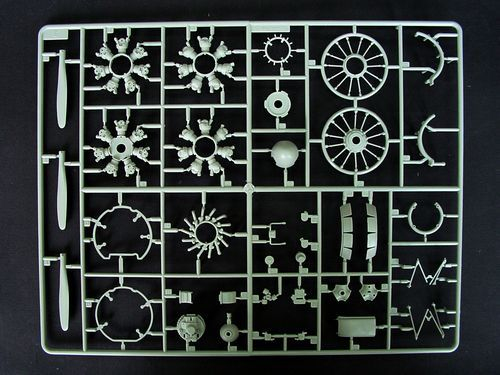 -image_Trumpeter_02410_3