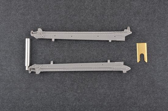 -image_Trumpeter_02343_7