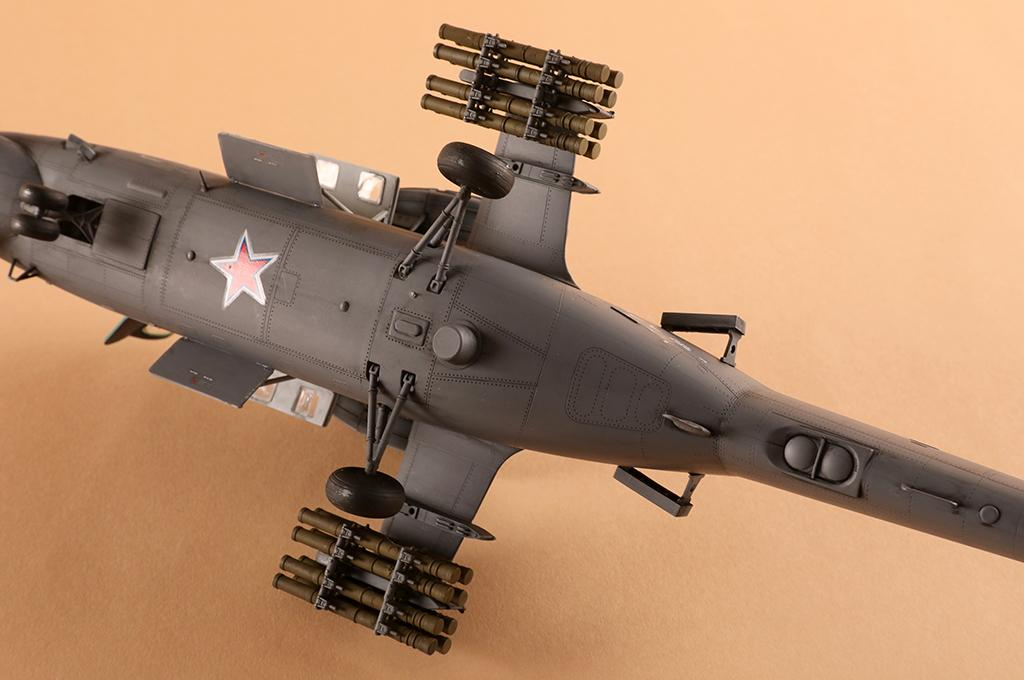 -image_Trumpeter_05830_24