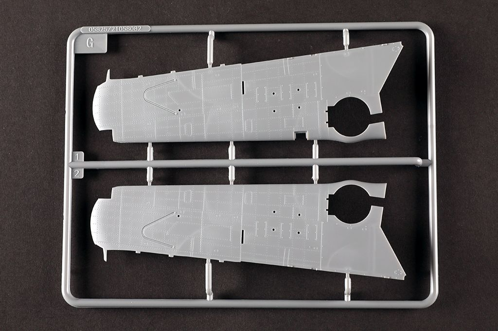 -image_Trumpeter_05825_15