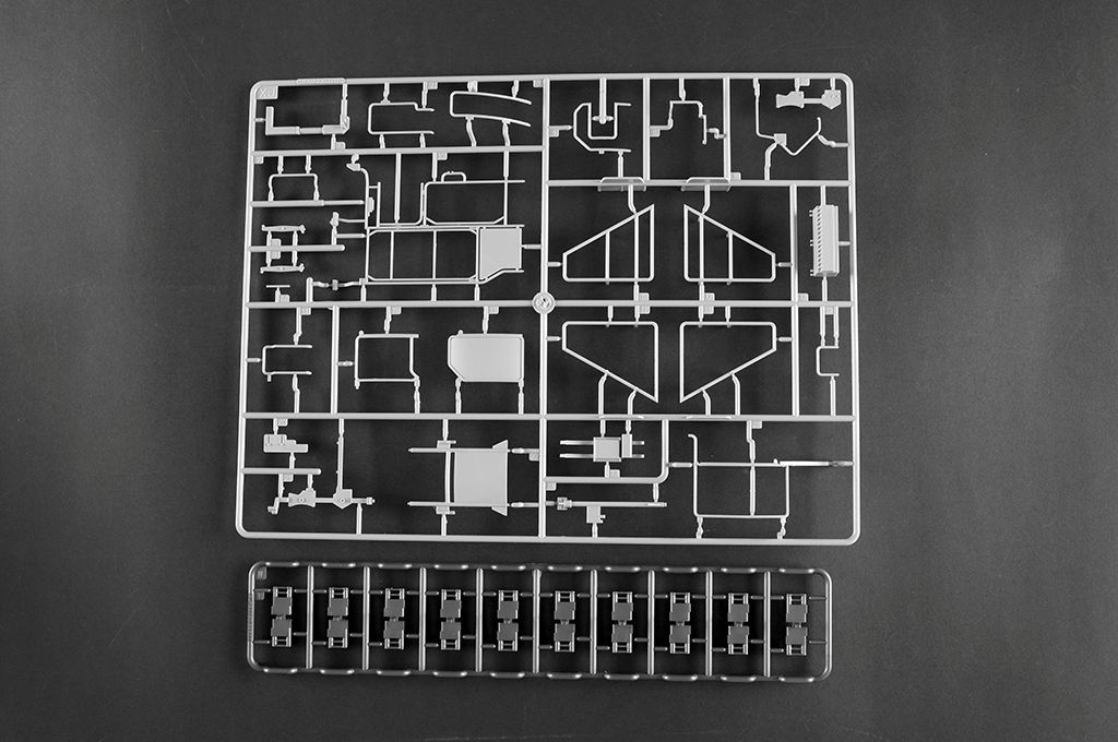 -image_Trumpeter_00966_43