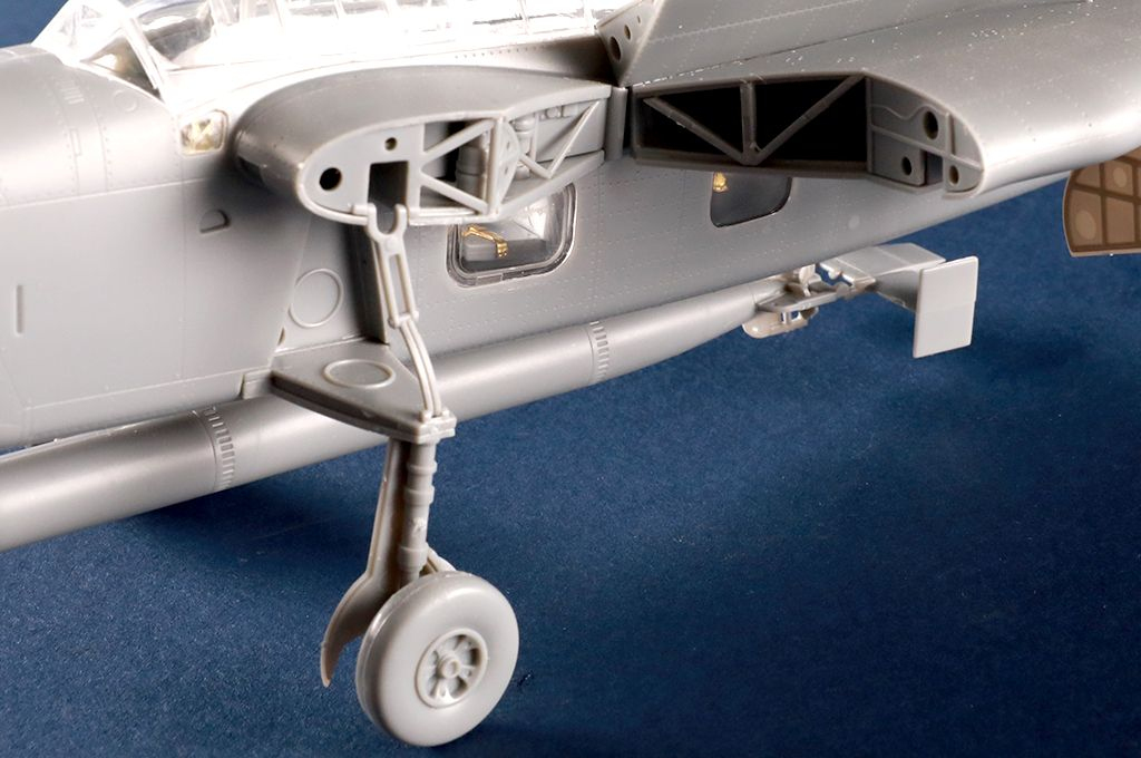 -image_Trumpeter_05825_11