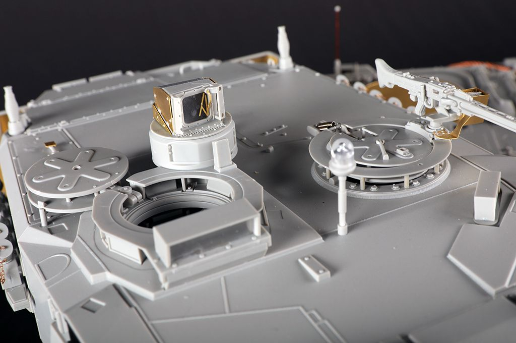 -image_Trumpeter_00966_12