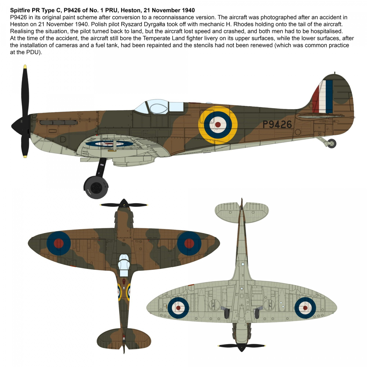 -image_IBG Models_72583_2