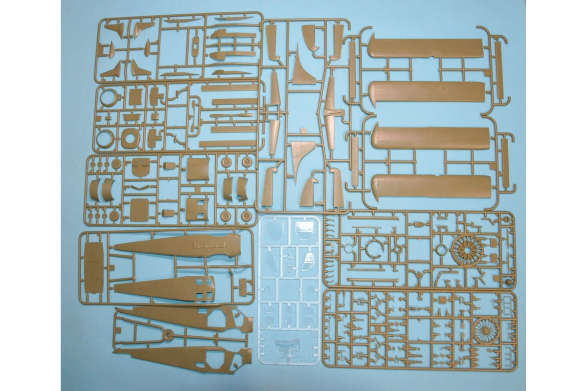 -image_Dora Wings_DW48059_3