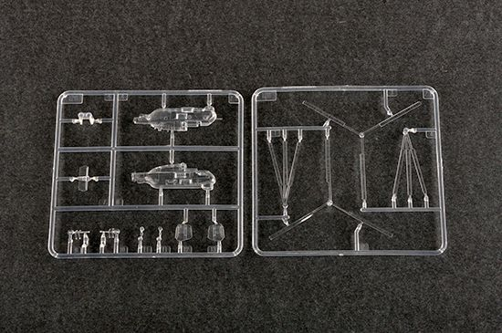 -image_Trumpeter_04202_4