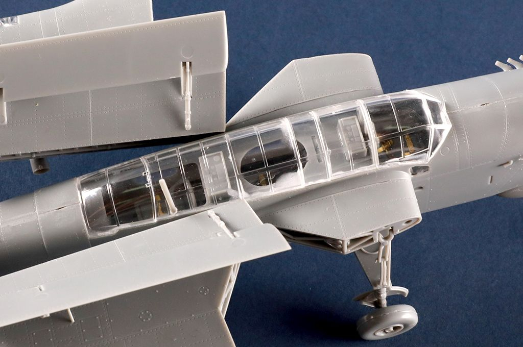 -image_Trumpeter_05825_10