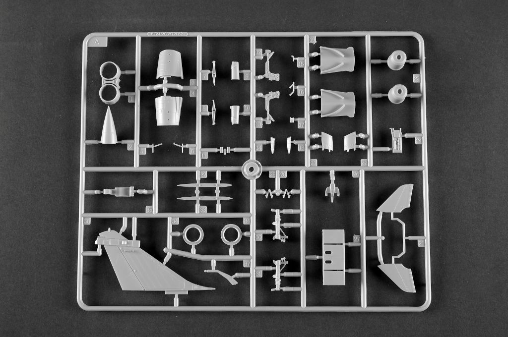 -image_Trumpeter_01690_21