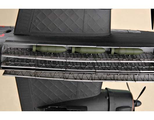 -image_Trumpeter_02808_8