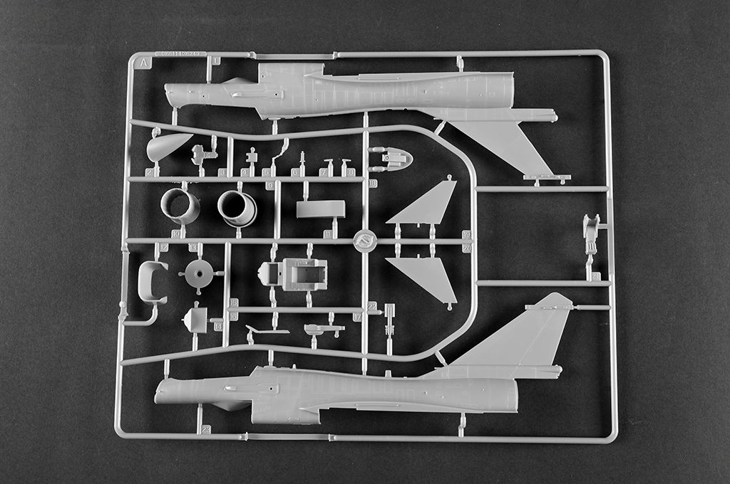 -image_Trumpeter_01690_16