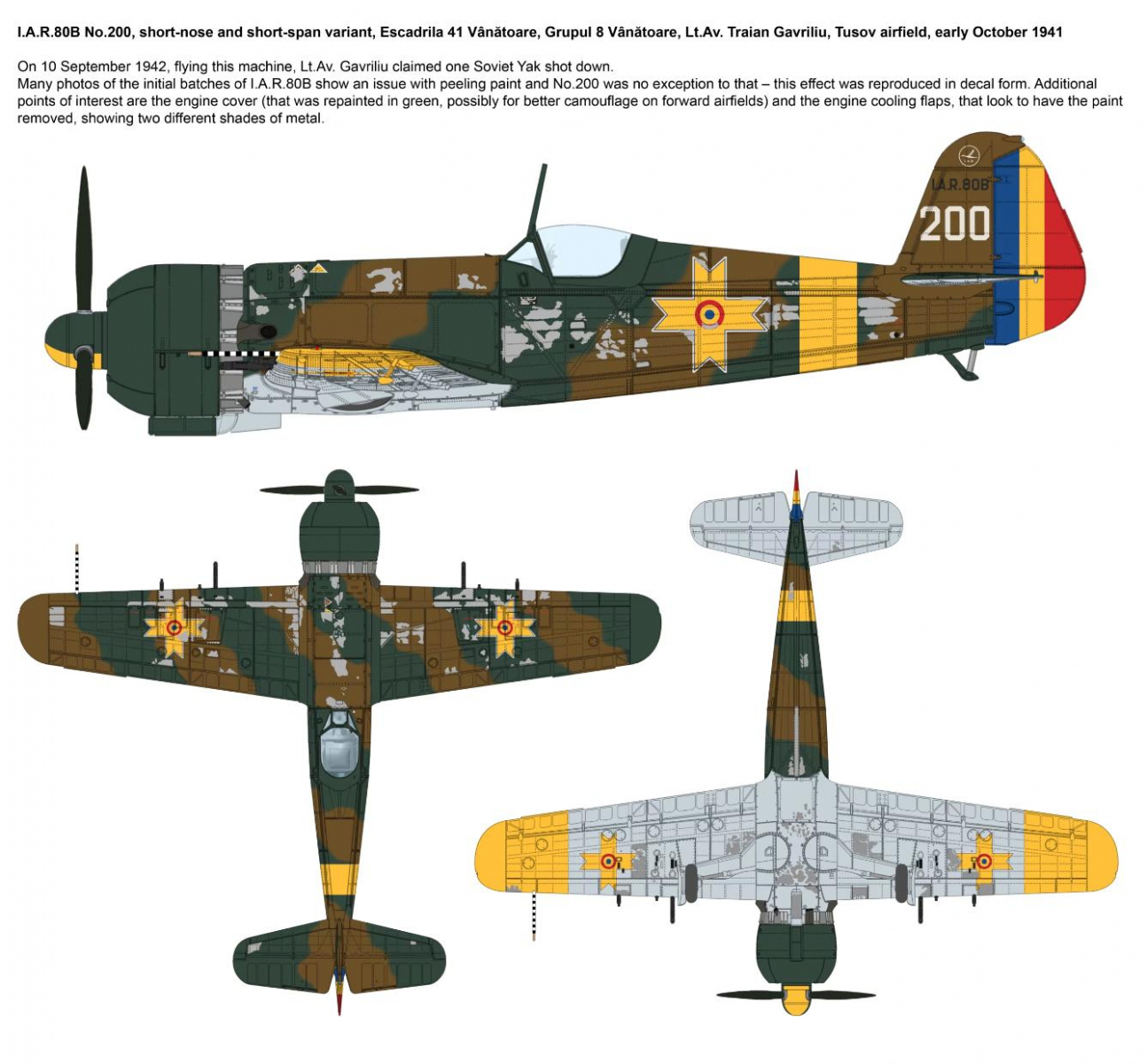 -image_IBG Models_72567_2