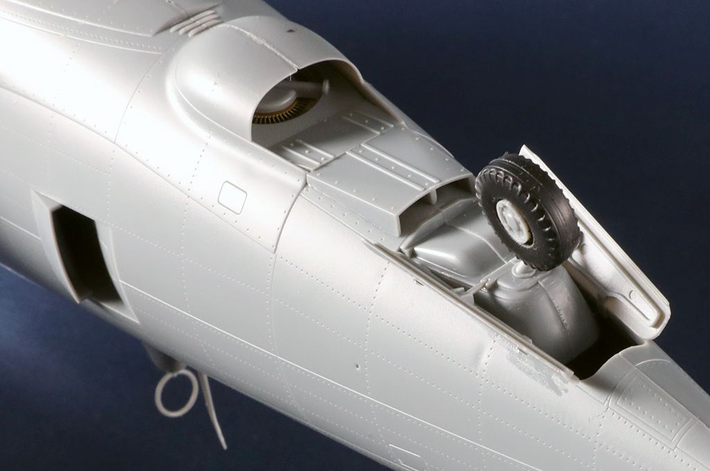 -image_Trumpeter_02427_15