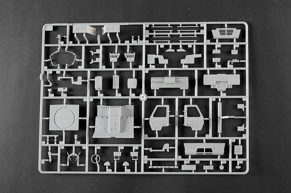 -image_Trumpeter_01097_15