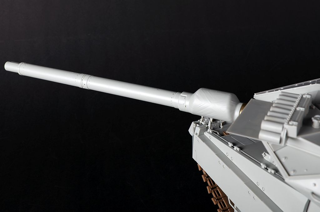 -image_Trumpeter_00966_16