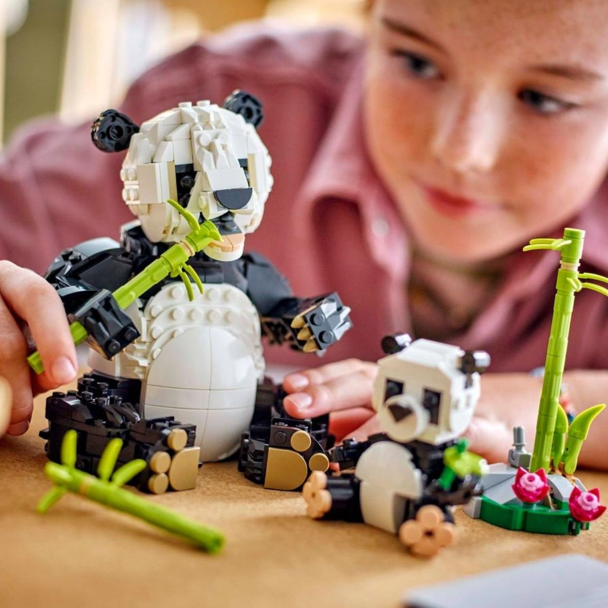 -image_LEGO_31165 _3