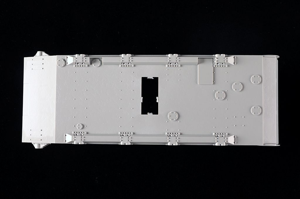 -image_Trumpeter_00954_14