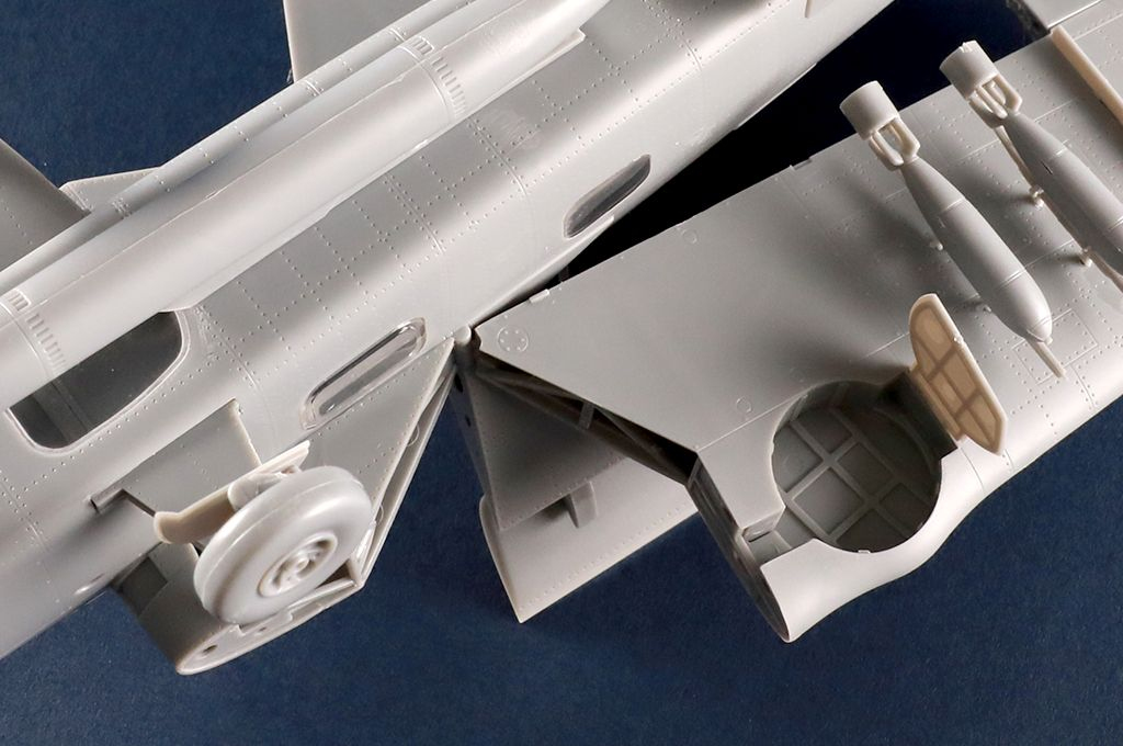 -image_Trumpeter_05825_12