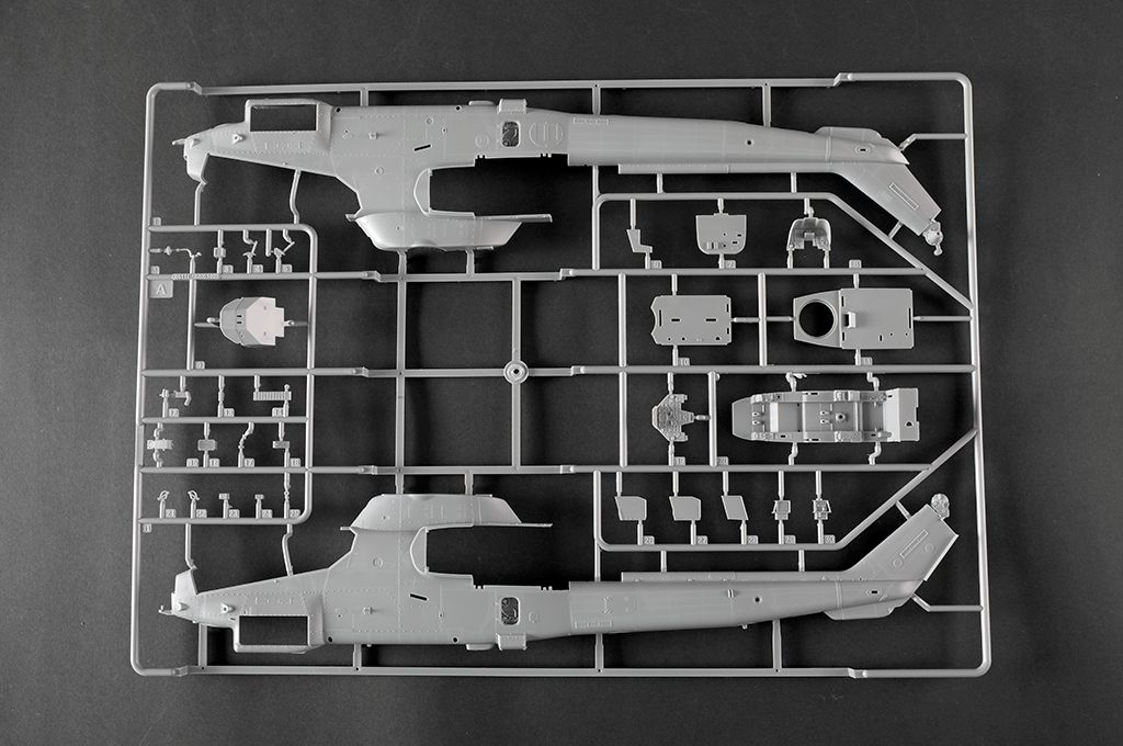 -image_Trumpeter_05117_19