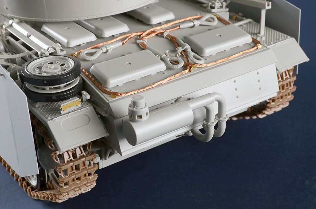 -image_Trumpeter_00956_12