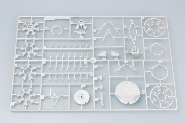 -image_Trumpeter_02255_16