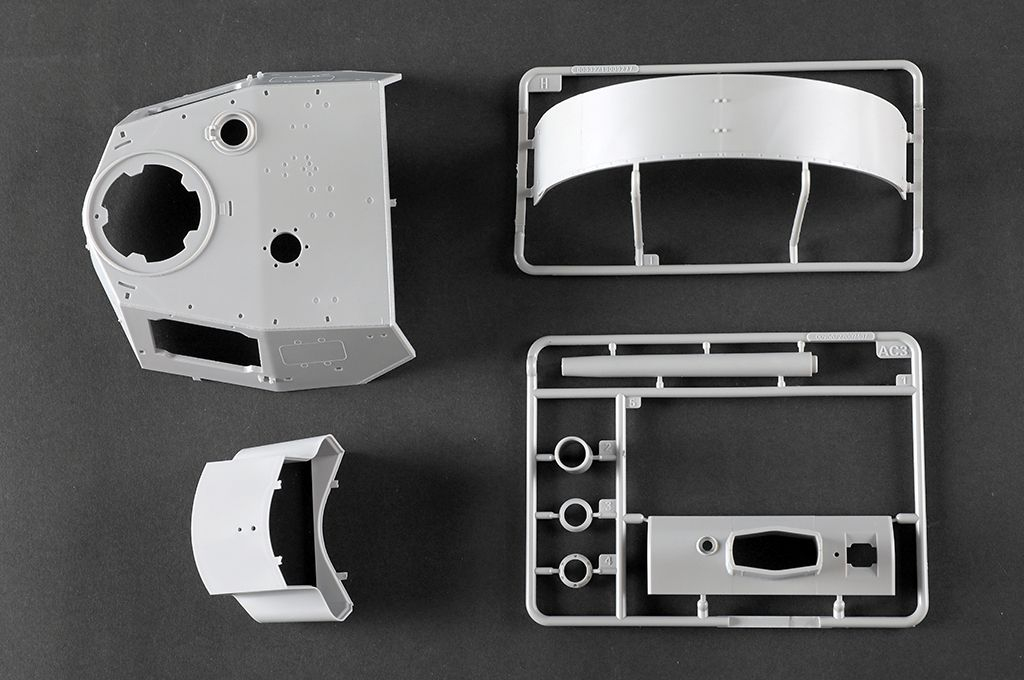 -image_Trumpeter_00956_15