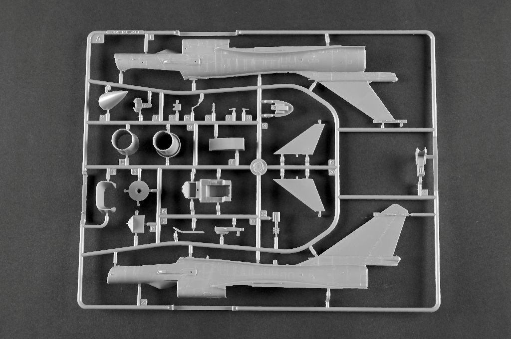 -image_Trumpeter_01698_6