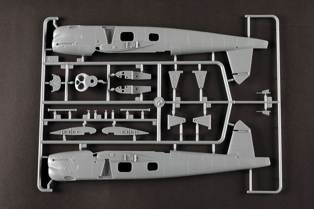 -image_Trumpeter_05825_13