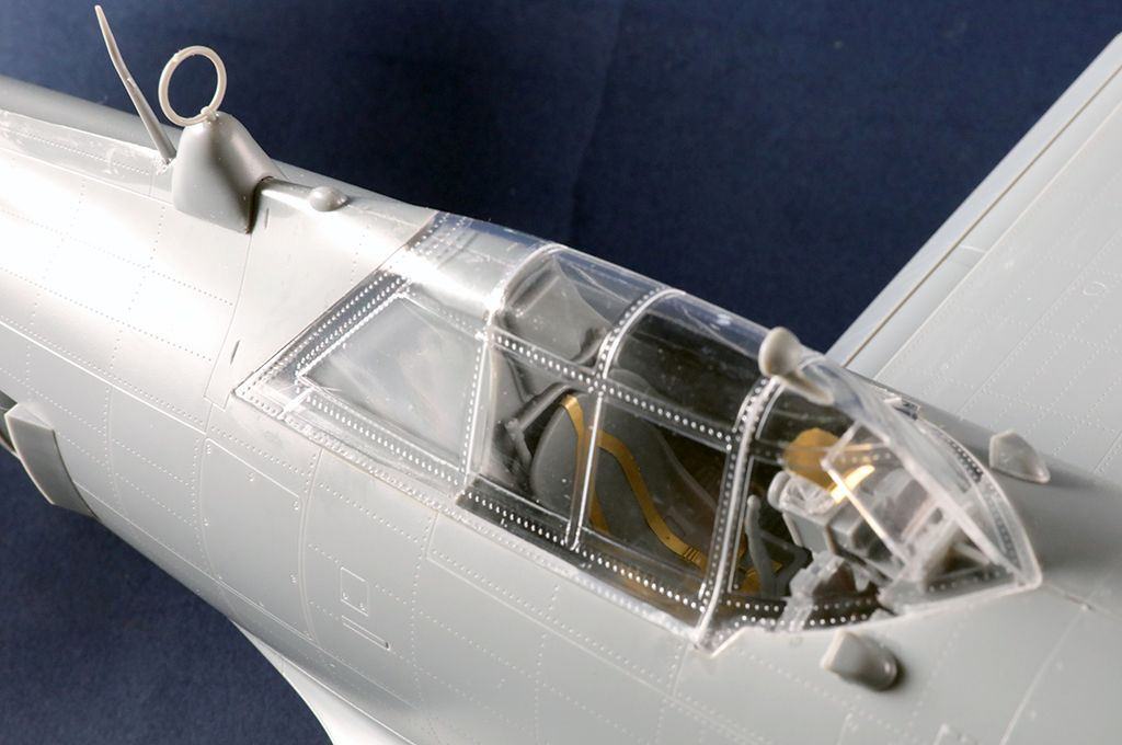 -image_Trumpeter_02427_11