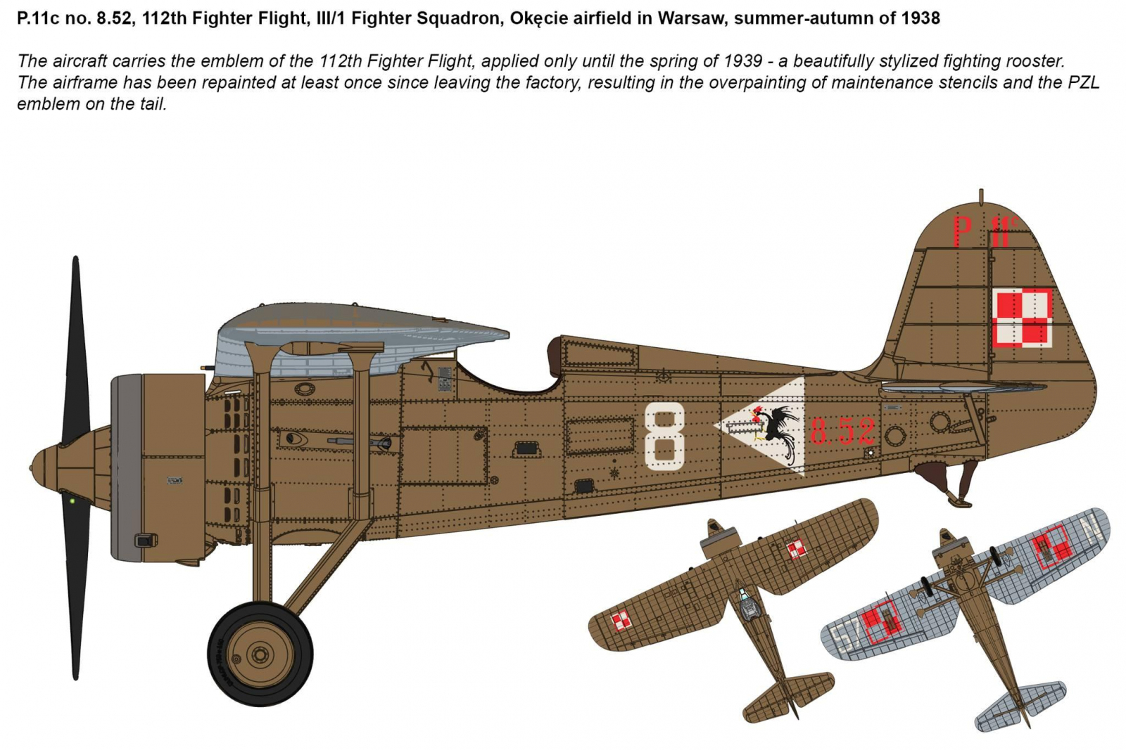 -image_IBG Models_32005_3