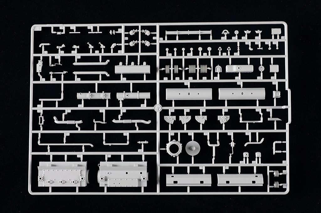 -image_Trumpeter_00954_23