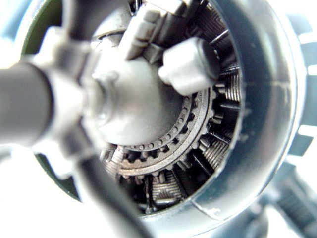 -image_Trumpeter_02221_6