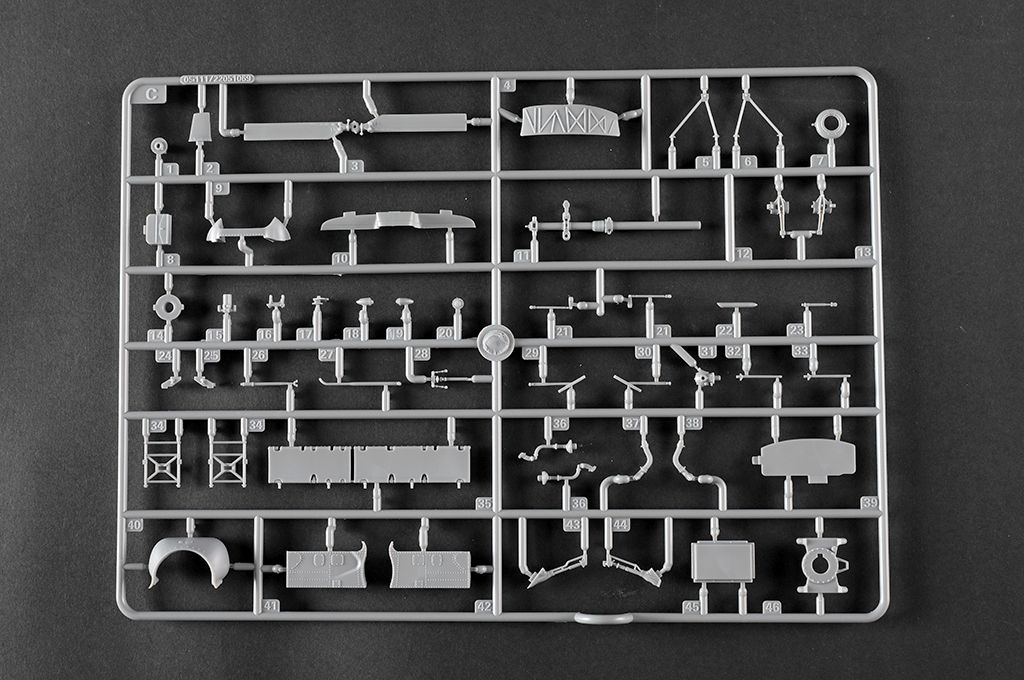 -image_Trumpeter_05112_18