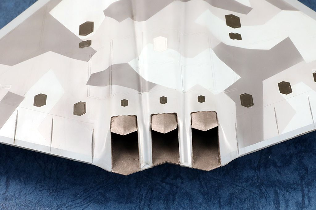 -image_Trumpeter_01689_8
