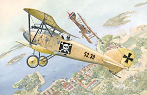 Albatros D.III Oeffag Roden 022 model skala 1-72