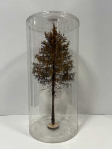 Drzewo modrzew suchy model 25 - 28 cm Freon nr MSU4 