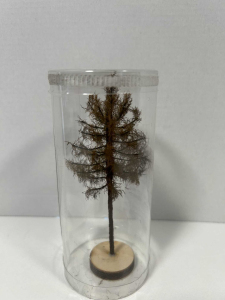 Drzewo modrzew suchy model 8 - 12 cm Freon nr MSU3 