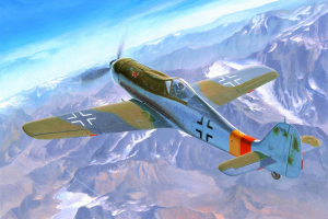 Focke-Wulf Fw 190D-9 Hobby Boss 81716 model 1-48 