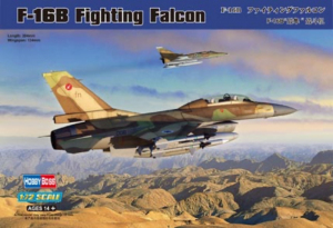 F-16B Fighting Falcon model Hobby Boss 80273 in 1-72 