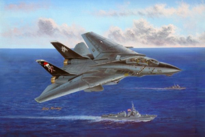 Hobby Boss 80367 F-14B Tomcat