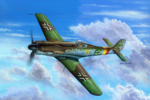 Focke-Wulf Ta 152 C-11 model Hobby Boss 81704 in 1-48 
