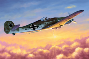 Focke Wulf Fw 190D-10 model Hobby Boss 81717 in 1-48