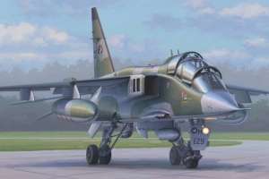 Sepecat Jaguar E model Hobby Boss in 1-72 