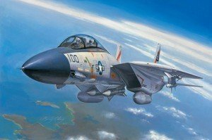 Hobby Boss F-14A Tomcat 80276 w skali 1:72