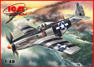 Mustang P-51K WWII American Fighter model ICM 48154 in 1-48