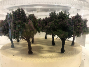 Krzewy kwitnące bzy 10szt model 2 - 4 cm Freon nr KRZBEZ 