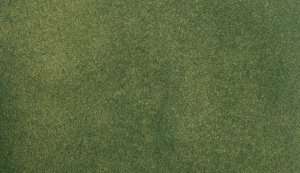 Green Grass Mats 31,7 x 35,8 cm - Woodland RG5142